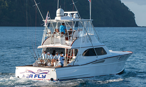 Sea Fly - 50' Maverick