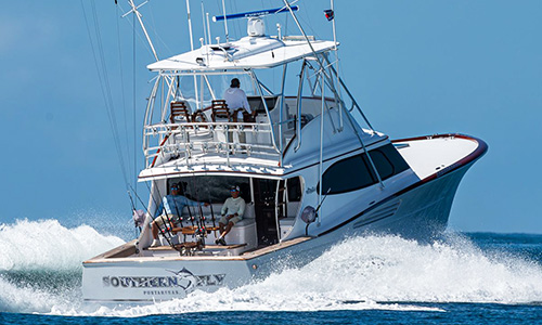 Southern Fly - 50' Maverick